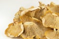 Girolle cantharellus mushrooms on white background Royalty Free Stock Photo