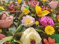 Girona city ,fabric soft saten flowers Royalty Free Stock Photo
