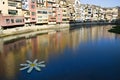 Girona's river. Spring decoration.
