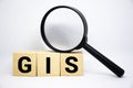 GIS words from wooden cubes with letters photo