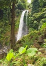Git Git waterfall. Bali island. Royalty Free Stock Photo