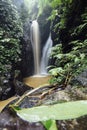 Gitgit waterfall at Bali, Indonesia Royalty Free Stock Photo