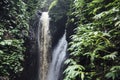Gitgit waterfall at Bali, Indonesia Royalty Free Stock Photo