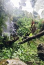 Gitgit waterfall at Bali, Indonesia Royalty Free Stock Photo