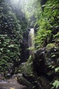Gitgit waterfall at Bali, Indonesia Royalty Free Stock Photo