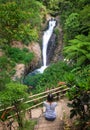 Gitgit waterfalls, surrounded by beautiful
