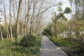 Gity Green Road along the Beijing-Hangzhou Grand Canal in a sunny afternoon