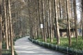 Gity Green Road along the Beijing-Hangzhou Grand Canal in a sunny afternoon