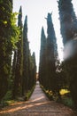 Giusti garden in Verona, Italy. Architecture and landmark of Verona. Postcard of Verona Royalty Free Stock Photo