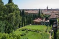Giusti gardens, Verona, Italy - tall cypress trees Royalty Free Stock Photo