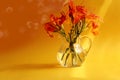 Give beautiful bouquets: orange daylilies in a glass vase, sunbeam, bokeh, yellow background, side view, space for text Royalty Free Stock Photo