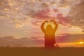 Give the gift on the Day of LoveRomantic girl walking in a field in sunset light. Winter, autumn life Royalty Free Stock Photo