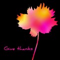 Give thanks card. Scarlet flower silhouette with bright gradient on black background Royalty Free Stock Photo