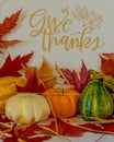 Give Thanks harvest/fall scene