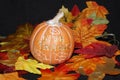 GIVE THANKS, Pumpkin season, Thanksgiving, Halloween