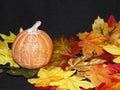 GIVE THANKS, Pumpkin season, Thanksgiving, Halloween