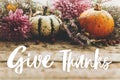 Give thanks text on pumpkins, purple dahlias flowers, heather on rustic old wood. Happy thanksgiving Seasonal greeting card, Royalty Free Stock Photo