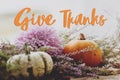 Give thanks text on pumpkins, purple dahlias flowers, heather on rustic old wood. Happy thanksgiving Seasonal greeting card, Royalty Free Stock Photo