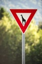 Give a way to giraffe sign, road signs, humor