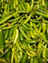 Bunch of shimmering serrano green peppers Royalty Free Stock Photo