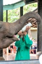 Gives milk for a baby elephant in pinnawala elephants orphanage, srilanka