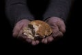 Giving bread. Poverty concept. Royalty Free Stock Photo