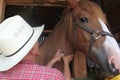 Giving the Horse An Injection