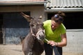 Giving a medicine to a stubborn donkey