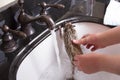 Giving a pet hedgehog a bath in a sink