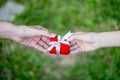 Giving red gift box in with hands On special days for special person, on grass background. Wedding ring box Royalty Free Stock Photo