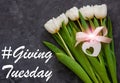 Giving Tuesday, Charity card message sign.Donations concept.White tulip flowers and heart card tag with pink ribbon Royalty Free Stock Photo