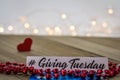 Giving Tuesday donate charity concept with text