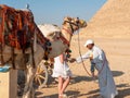 Giza, Cairo, Egypt - September 30, 2021: Egyptian invites the tourist to ride a camel and take a photo against the background of Royalty Free Stock Photo