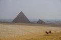 Giza, Egypt: Camel Rides Near the Khufu Pyramid Complex Royalty Free Stock Photo