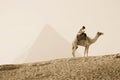 Uniformed Tourist Police patrols the Great Pyramid of Giza Royalty Free Stock Photo