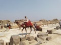Giza plateau near the pyramids. Local people offering camel rides to tourists.