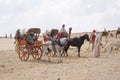 Giza Pyramid Complex. Tourist transport services cab