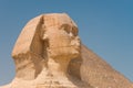 Giza's great sphinx,