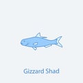 gizzard shad 2 colored line icon. Simple light and dark blue element illustration. gizzard shad concept outline symbol design from