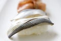 Gizzard shad sushi Royalty Free Stock Photo