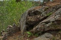 Glacial basalts on Mount Passonvuori. Royalty Free Stock Photo