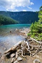 Glacial Black lake Cerne jezero, Sumava mountains, South Bohemian Region, Czech Republic Royalty Free Stock Photo