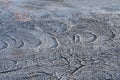 Glacial Chatter Marks on Barren Rock