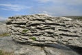 Glacial Erratic boulder Royalty Free Stock Photo