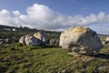 Glacial Erratic Boulder Field Royalty Free Stock Photo