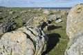 Glacial Erratic Boulder Field Royalty Free Stock Photo