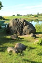 Glacial erratic boulders Royalty Free Stock Photo