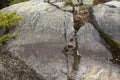 Glacial groove in granite bedrock, Mt. Kearsarge, New Hampshire.