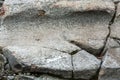 Glacial grooves in granite bedrock on Mt. Kearsarge, New Hampshire.