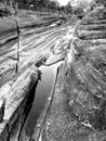 Glacial grooves kelley island ohio